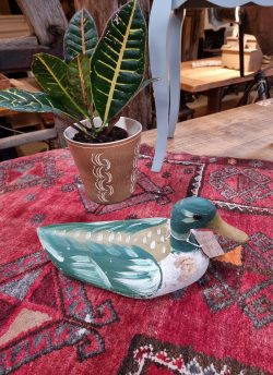 Decoy Duck