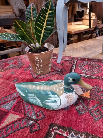 Decoy Duck