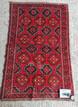 Ian the rug...