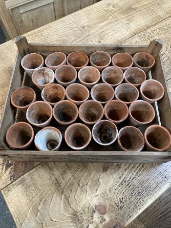 Small terracotta pots - Image 2