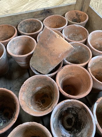 Small terracotta pots