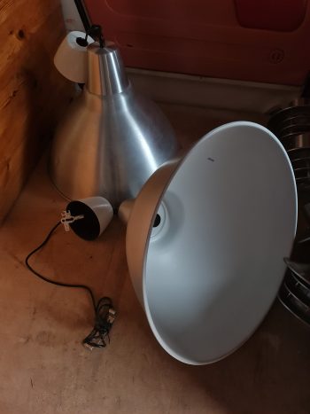 FRANKIE LAMPS