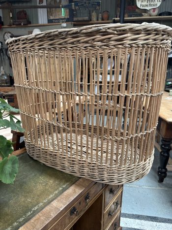 Monsieur Fluffy.  Antique French wicker basket