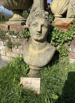 Adonis garden statue