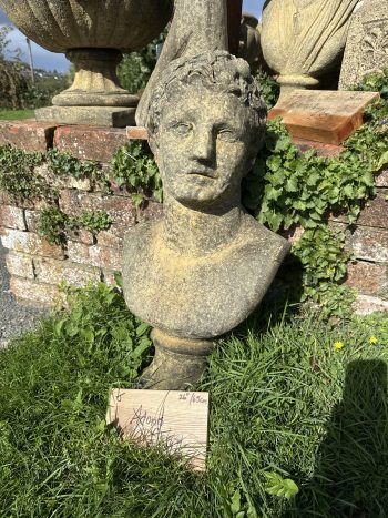 Adonis garden statue