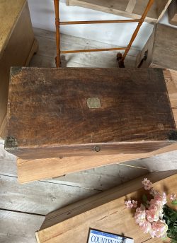 Antique camphor wood chest
