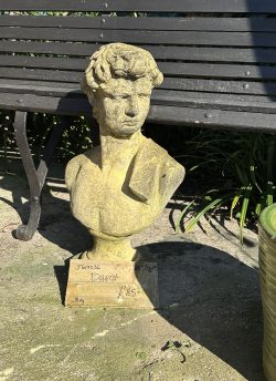 David bust
