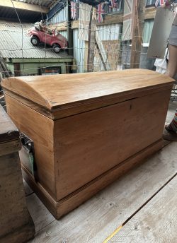 Archie pine dome top chest